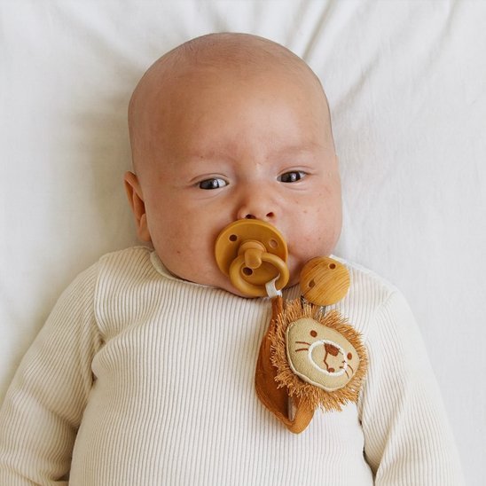 Attache tetine | Premium - LaBoutikaBebe